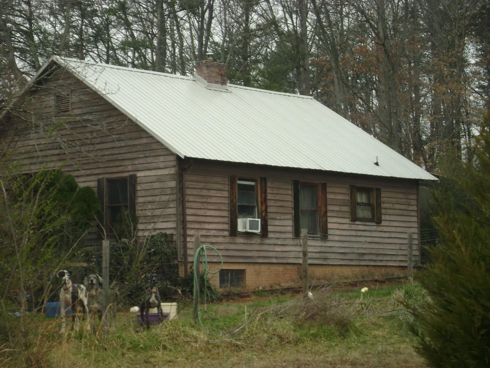 White metal roof on an old wood sided farmhouse, from a Asphalt Shingle Roof Repair job in Great Barrington